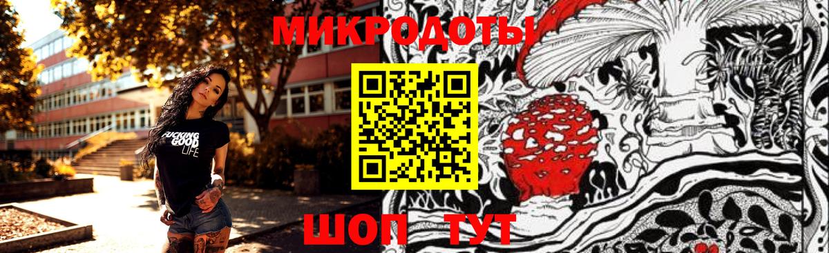 APVP Кызыл